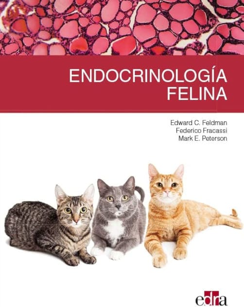 Endocrinología felina