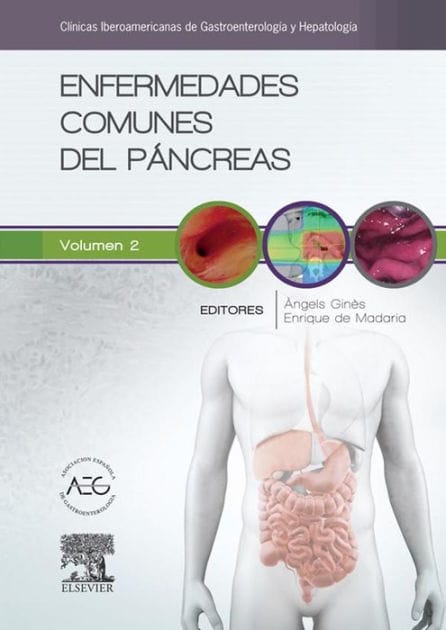 Enfermedades comunes del páncreas: Clínicas Iberoamericanas de Gastroenterología y Hepatología vol. 2