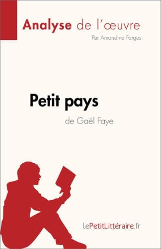 Petit pays de Gael Faye (Analyse de l'ouvre): Résumé complet et analyse détaillée de l'oeuvre