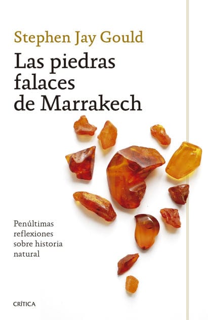 Las piedras falaces de Marrakech : Penúltimas reflexiones sobre historia natural / The Lying Stones of Marrakech