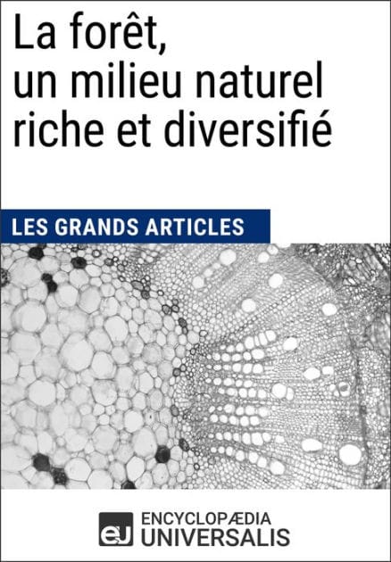 La forêt, un milieu naturel riche et diversifié: Les Grands Articles d'Universalis