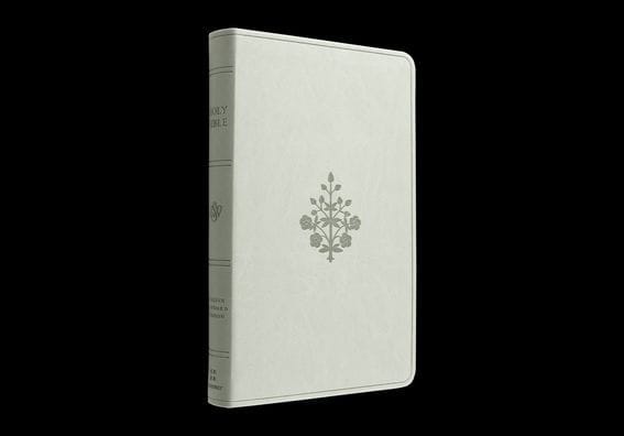 ESV Large Print Value Thinline Bible (TruTone, River Stone, Branch Design)