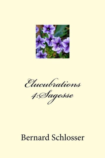 Elucubrations 4: Sagesse