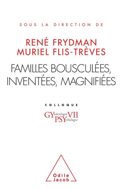 Familles bousculées, inventées, magnifiées: Gypsy VII