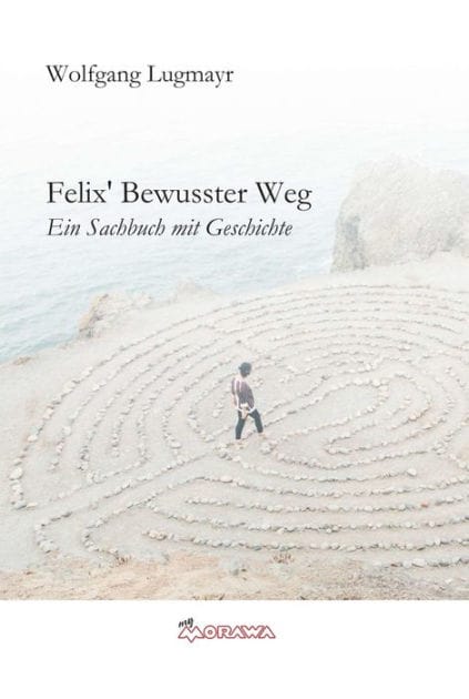 Felix' Bewusster Weg: Ein Sachbuch mit Geschichte und Betriebsanleitung