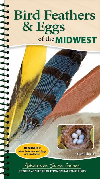 Bird Feathers & Eggs of the Midwest: Identify 40 Species of Common Backyard Birds