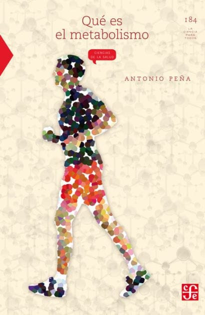 Qué es el metabolismo