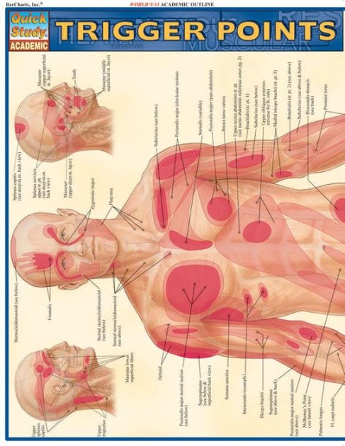 Trigger Points: QuickStudy Laminated Reference Guide (QuickStudy Academic)