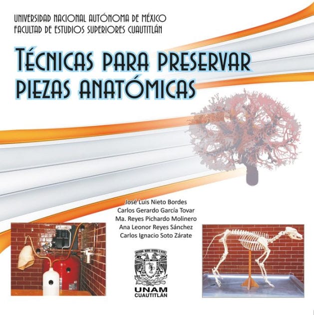 Técnicas para preservar piezas anatómicas