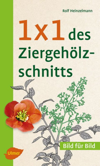 1 X 1 Des Ziergehölzschnitts: 9783800109333 Img1