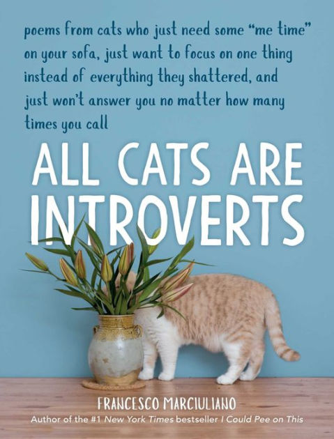 All Cats Are Introverts 9781449495633 Img1