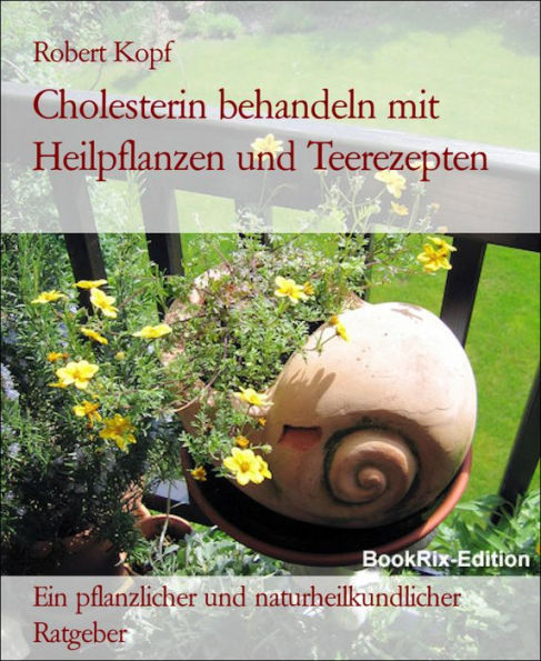 Cholesterin Behandeln Mit Heil 9783730935699 Img1