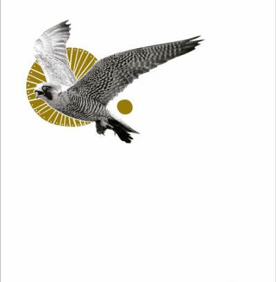 El Peregrino: J.A. Baker 9786319019506 Img1