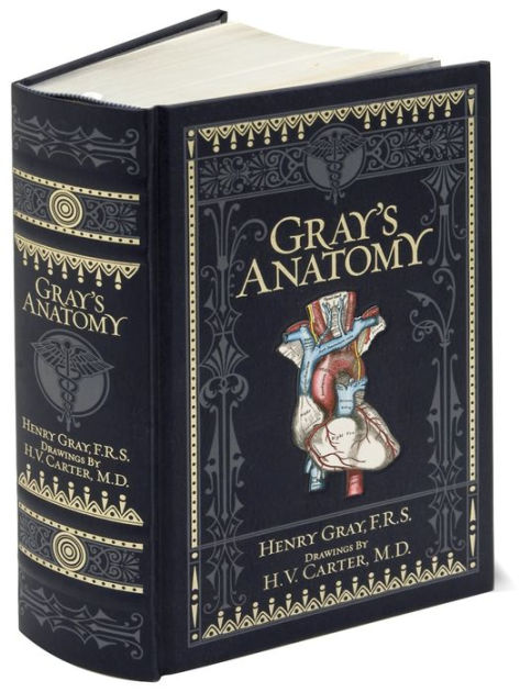Gray'S Anatomy (Barnes & Noble 9781435167919 Img1