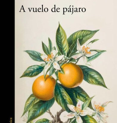 A Vuelo De Pájaro. Cuadernos / 9786073846134 Img1