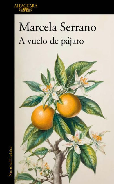 A Vuelo De Pájaro. Cuadernos / 9786073846134 Img1