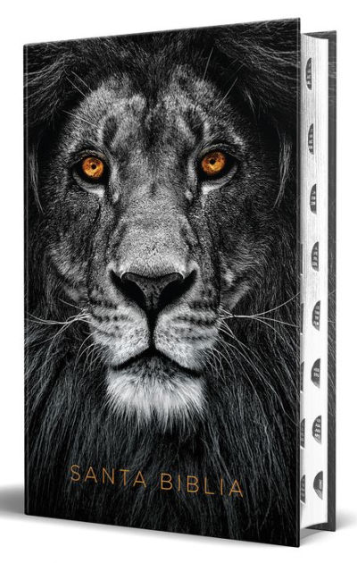 Biblia Rvr 1960 Letra Grande T 9781644737705 Img1