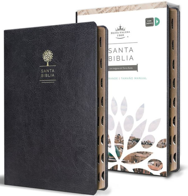 Biblia Reina Valera 1960 Letra 9781644732168 Img1