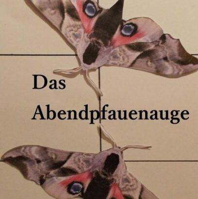 Das Abendpfauenauge 9781508562771 Img1