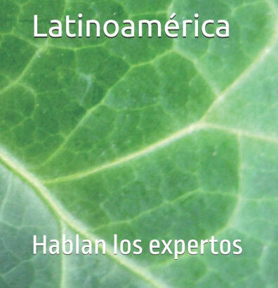 Delincuencia Y Latinoamerica: 9781502453075 Img1