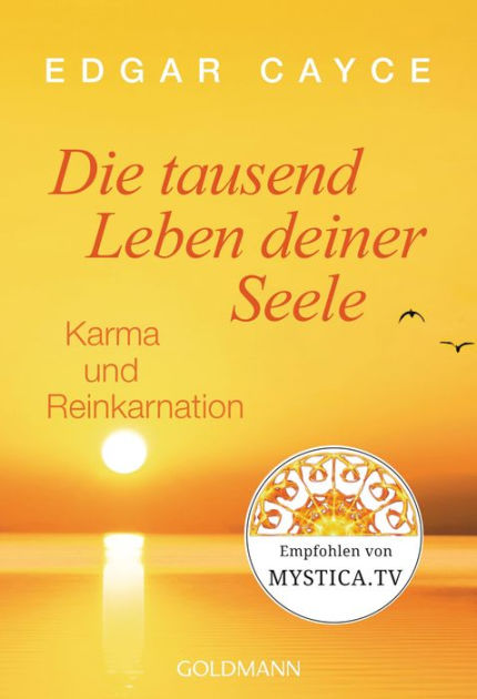 Die Tausend Leben Deiner Seele 9783641178666 Img1