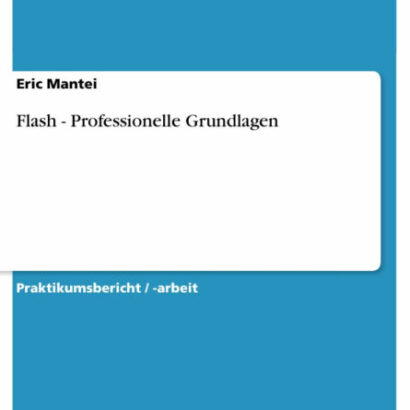 Flash - Professionelle Grundla 9783638446570 Img1