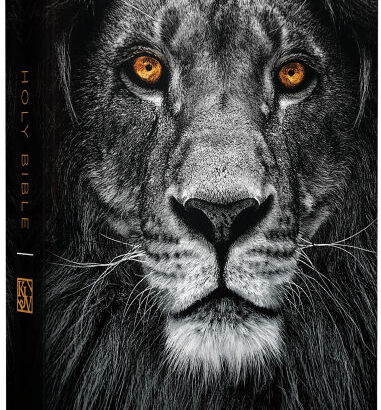 Kjv Holy Bible, Large Print, H 9798890982582 Img1